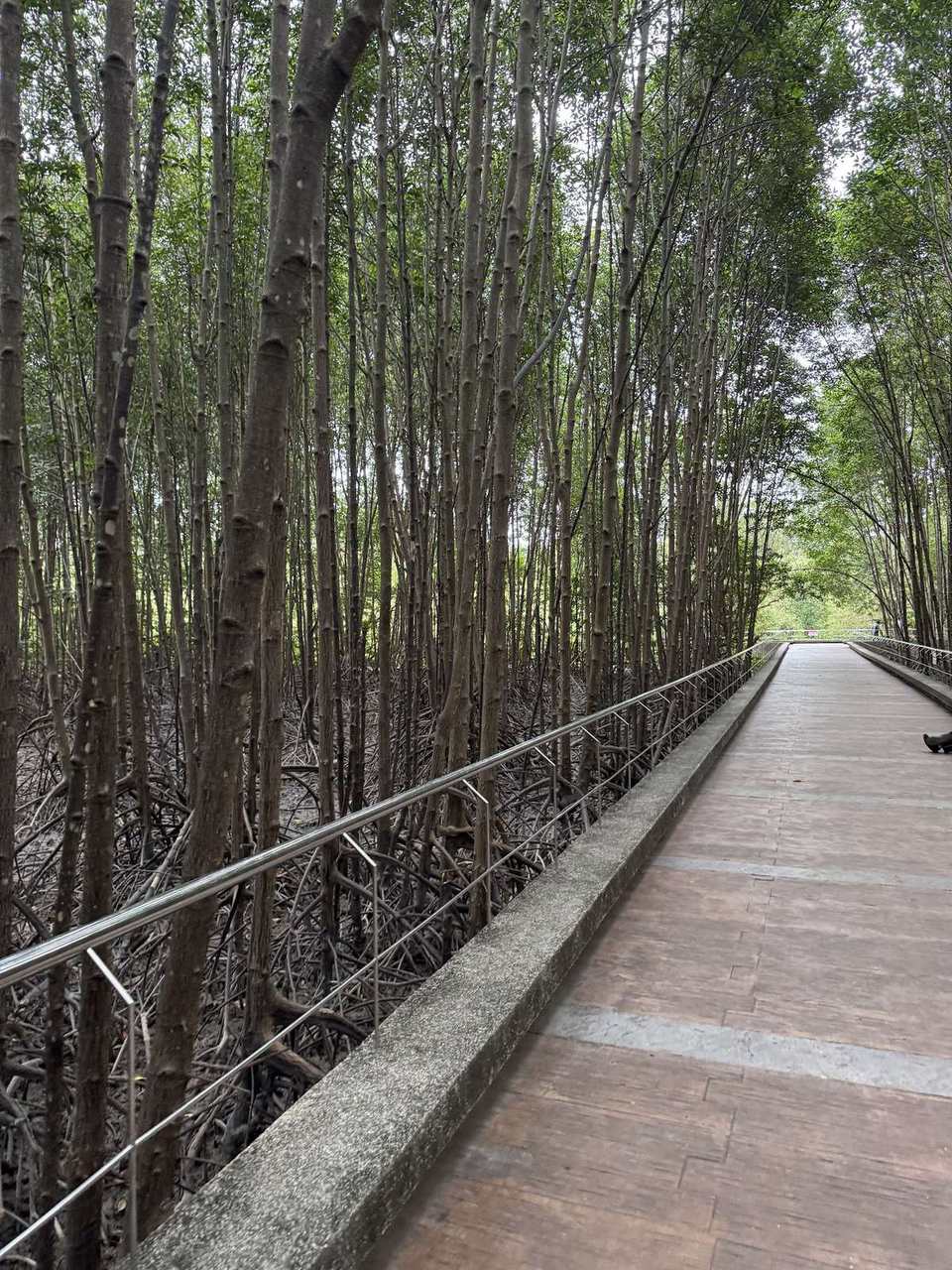 Saphan Hin Park